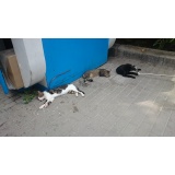 Дикая фауна - 02.jpg